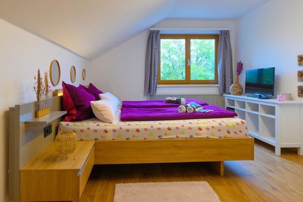 Family Apartment บัดกอยเซิร์น ภายนอก รูปภาพ