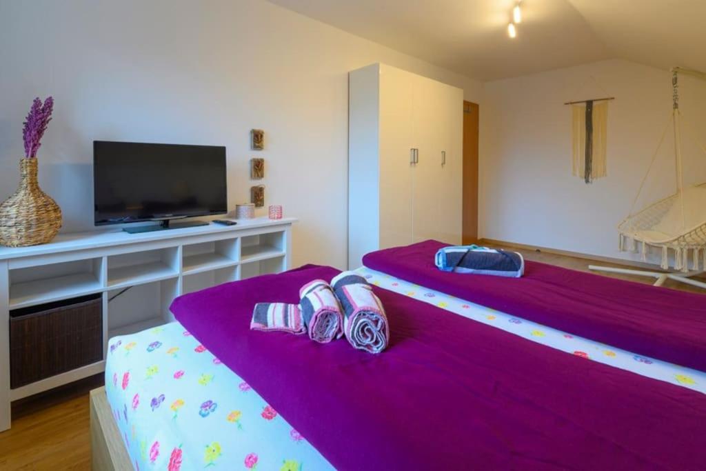 Family Apartment บัดกอยเซิร์น ภายนอก รูปภาพ